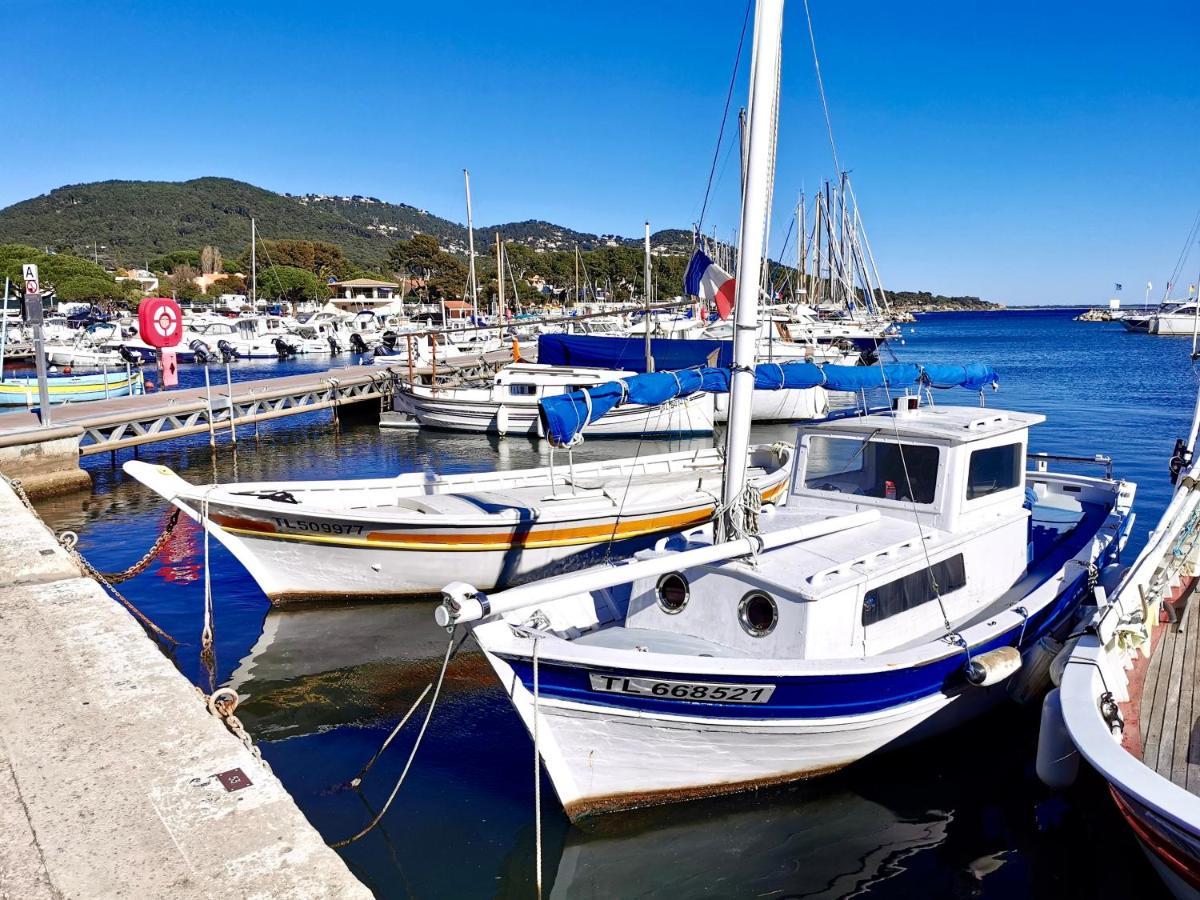 Bord de mer aux Pins Penchés Carqueiranne Extérieur photo